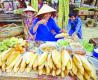  Mini Baguettes Vietnamiennes:   
